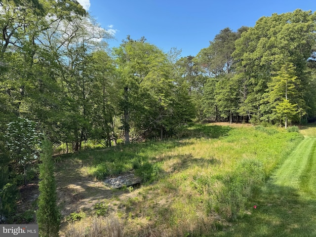 41259 Gloucester Dr, Rehoboth Beach, DE 19971 - view of yard with a wooded view