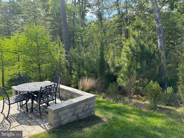 41259 Gloucester Dr, Rehoboth Beach, DE 19971 - view of yard featuring outdoor dining space and a forest view