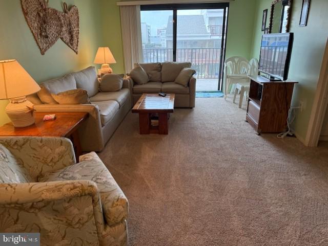 72nd St Unit 35, Ocean City, MD 21842 - view of carpeted living room