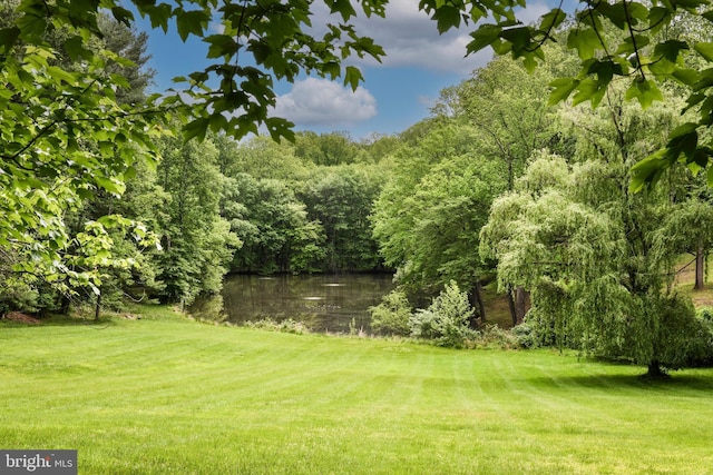 1435 Hunter View Farms, Vienna, VA 22182 - view of green lawn with a water view and a wooded view