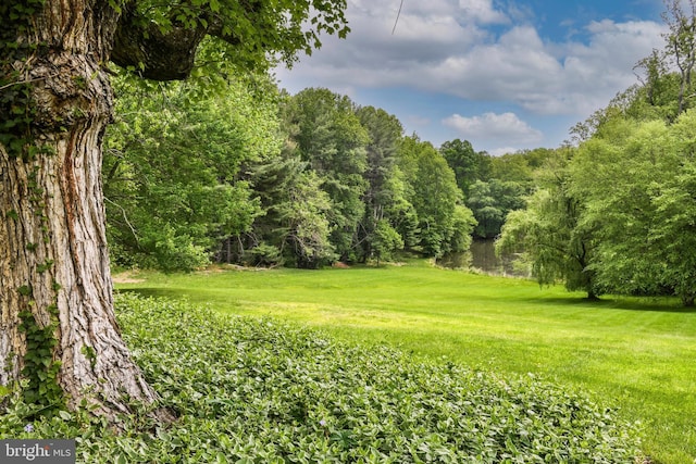 1435 Hunter View Farms, Vienna, VA 22182 - view of green lawn