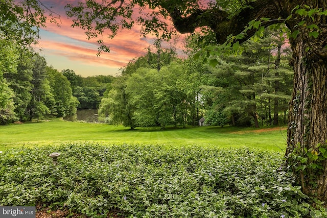 1435 Hunter View Farms, Vienna, VA 22182 - yard at dusk with a lawn