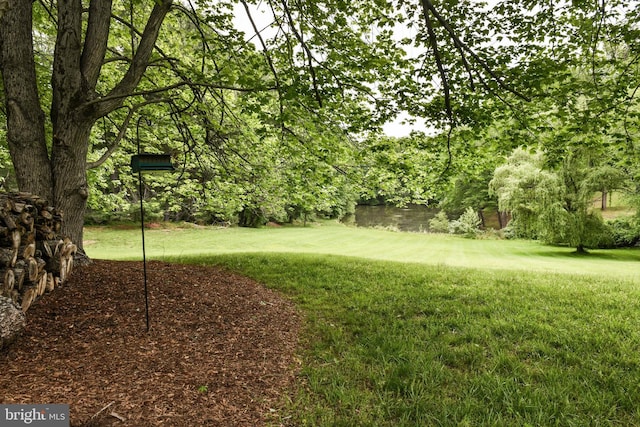 1435 Hunter View Farms, Vienna, VA 22182 - view of grassy yard