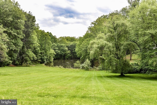1435 Hunter View Farms, Vienna, VA 22182 - view of grassy yard with a water view and a view of trees