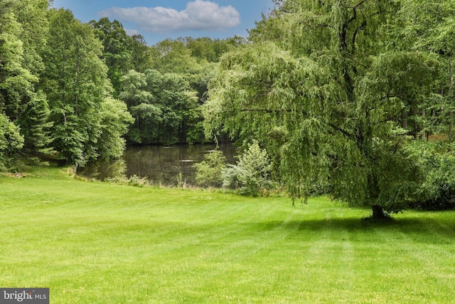 1435 Hunter View Farms, Vienna, VA 22182 - view of green lawn featuring a water view and a forest view