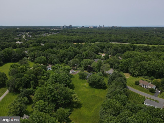 1435 Hunter View Farms, Vienna, VA 22182 - aerial view of a forest