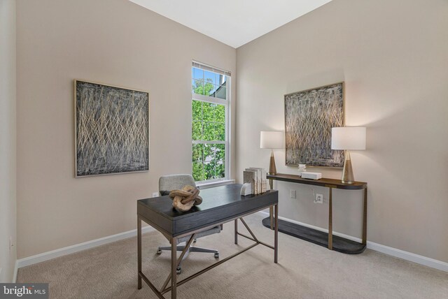 office area featuring carpet floors and baseboards