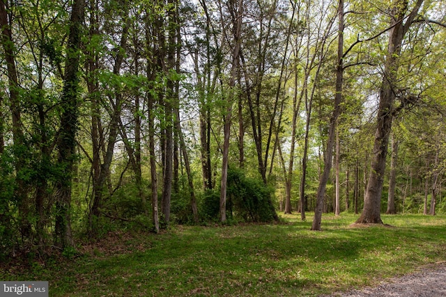 11490 Tilia Ln, Bealeton, VA 22712 - view of wooded area