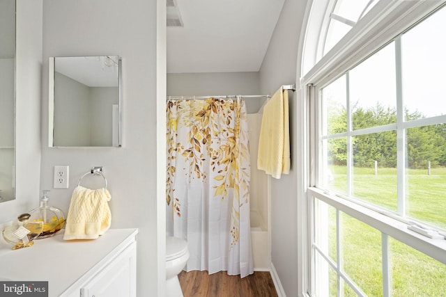 11490 Tilia Ln, Bealeton, VA 22712 - bathroom featuring plenty of natural light, toilet, wood finished floors, and vanity