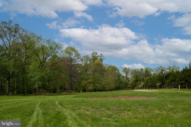 11490 Tilia Ln, Bealeton, VA 22712 - view of yard featuring a wooded view