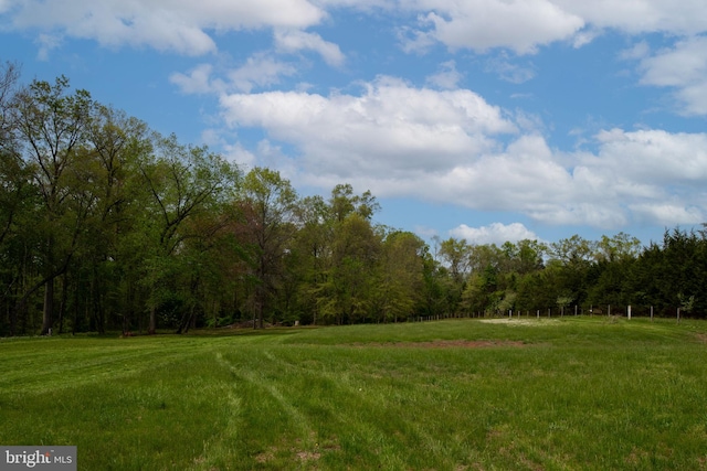 11490 Tilia Ln, Bealeton, VA 22712 - view of yard with a view of trees