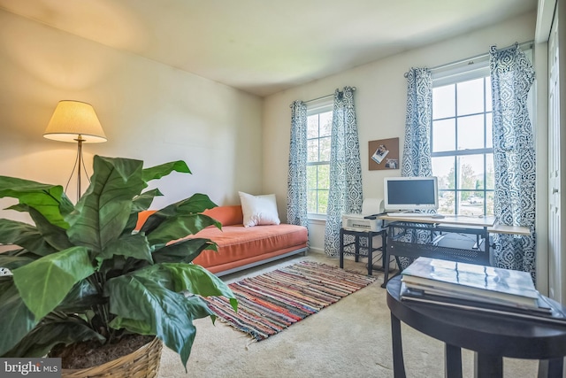 22 Sawgrass Dr, Mount Holly, NJ 08060 - sitting room with carpet floors and a desk