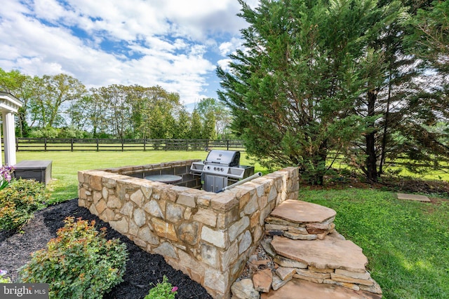 view of yard featuring exterior kitchen