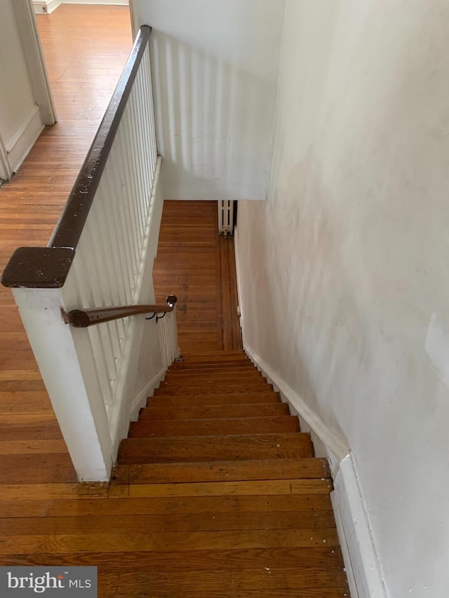 stairway with hardwood / wood-style floors