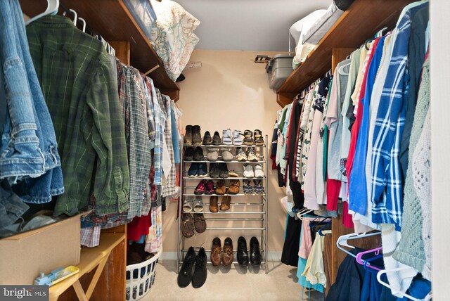 spacious closet with carpet floors
