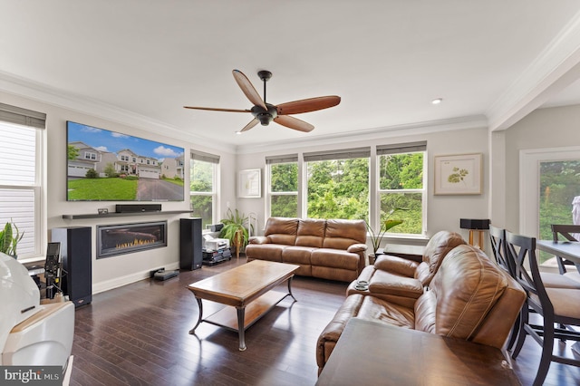 living area with a ceiling fan, ornamental molding, a glass covered fireplace, healthy amount of natural light, and wood finished floors