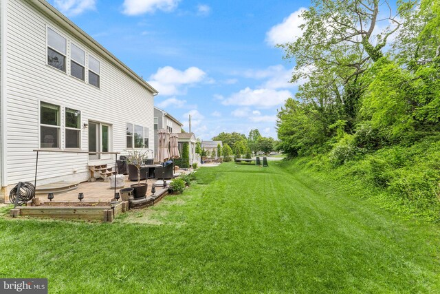 view of grassy yard with a patio area
