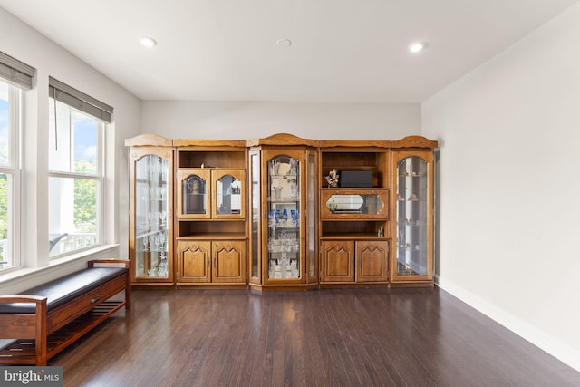 detailed view of dark wood-style flooring, brown cabinets, baseboards, and recessed lighting