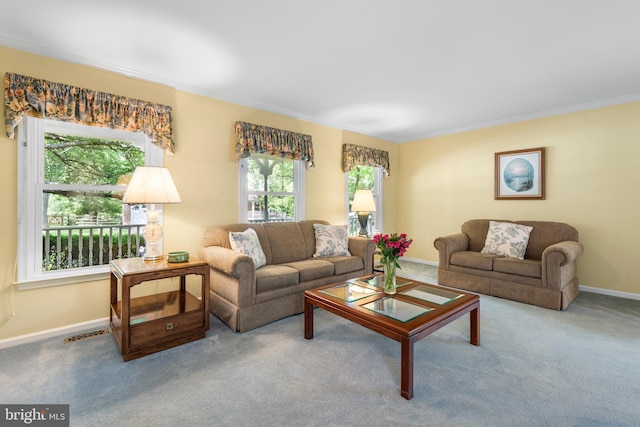 8 Botany Ct, North Potomac, MD 20878 - carpeted living area featuring crown molding and baseboards