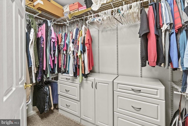 2218 W Greenleaf Dr W, Frederick, MD 21702 - spacious closet featuring carpet