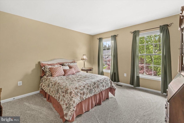 2218 W Greenleaf Dr W, Frederick, MD 21702 - bedroom with baseboards and light carpet