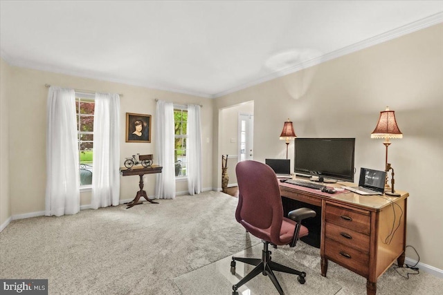 2218 W Greenleaf Dr W, Frederick, MD 21702 - home office with baseboards, light colored carpet, and crown molding