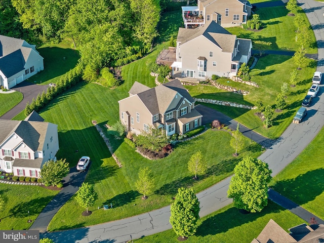 drone / aerial view