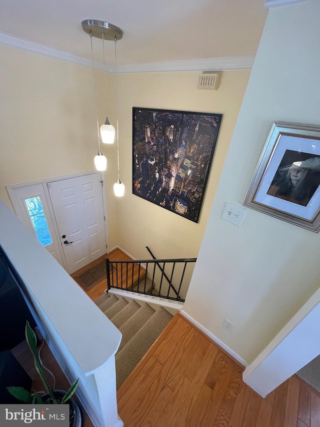 99 Exeter Ct, Shepherdstown, WV 25443 - staircase with wood finished floors, crown molding, and baseboards