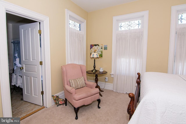 301 Meyers Ave, Meyersdale, PA 15552 - bedroom featuring carpet flooring, multiple windows, and baseboards