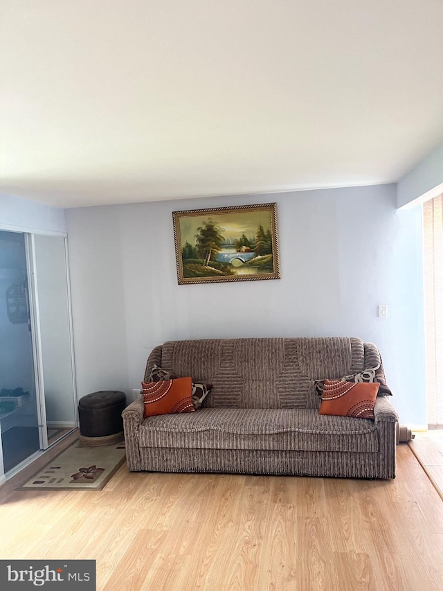 5 Coliston Rd Unit C, Reisterstown, MD 21136 - living room with wood finished floors