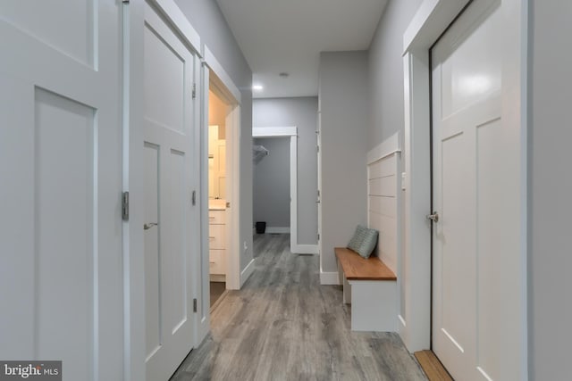 82 S Village Cir Unit 238, Palmyra, PA 17078 - corridor with light wood finished floors, baseboards, and recessed lighting
