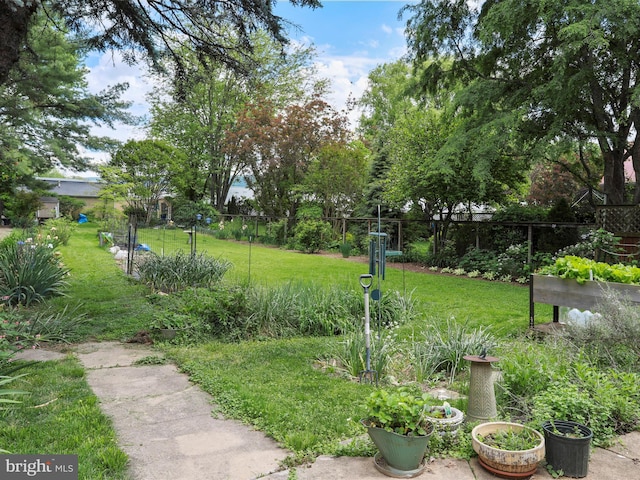 214 Center St, Edinburg, VA 22824 - view of home's community