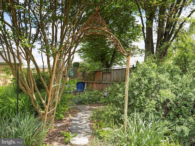 214 Center St, Edinburg, VA 22824 - view of yard with fence
