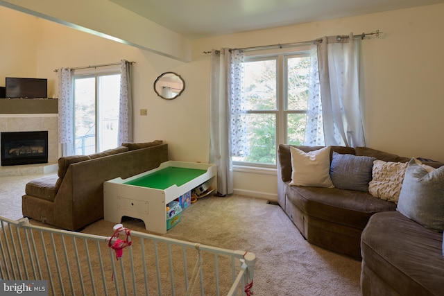 121 Washington Pl, State College, PA 16801 - game room with healthy amount of natural light, carpet floors, a fireplace, and baseboards