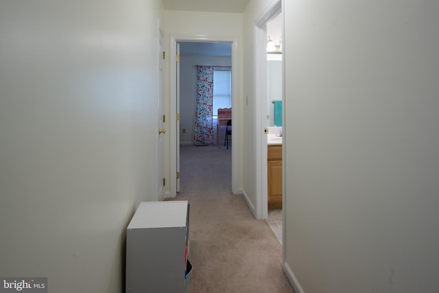 121 Washington Pl, State College, PA 16801 - hallway with light colored carpet and baseboards