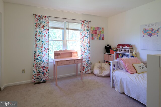 121 Washington Pl, State College, PA 16801 - view of carpeted bedroom