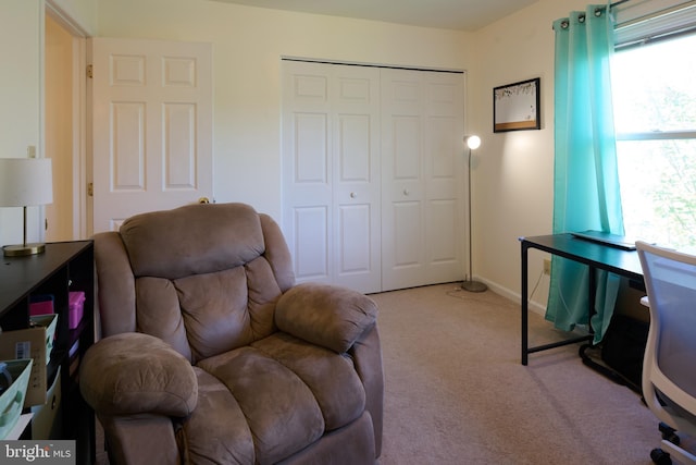 121 Washington Pl, State College, PA 16801 - home office with carpet floors and baseboards