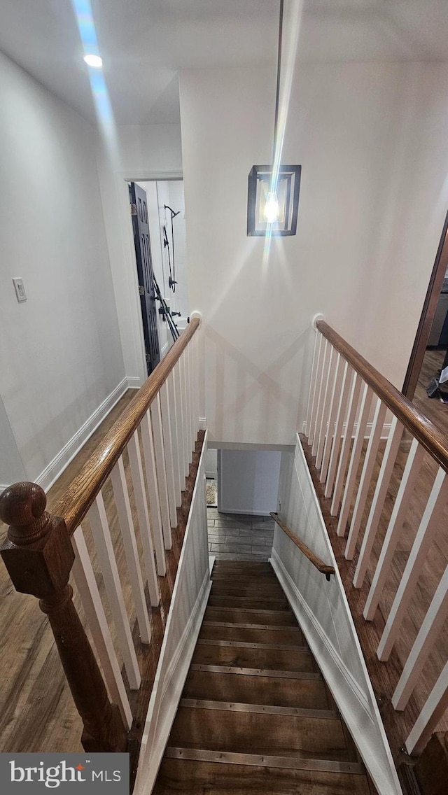 staircase featuring wood-type flooring