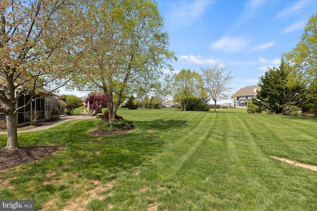 view of green lawn