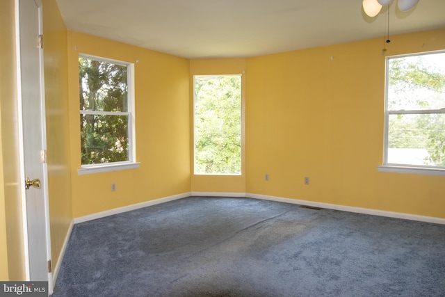 1158 Custer Dr, Auburn, PA 17922 - carpeted spare room featuring plenty of natural light, baseboards, and a ceiling fan