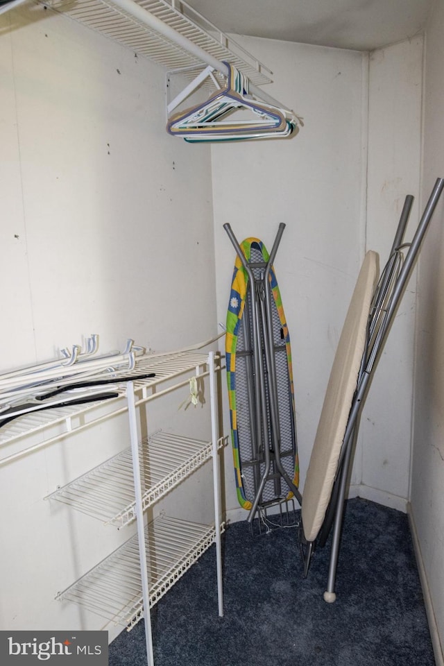 1158 Custer Dr, Auburn, PA 17922 - view of storage room