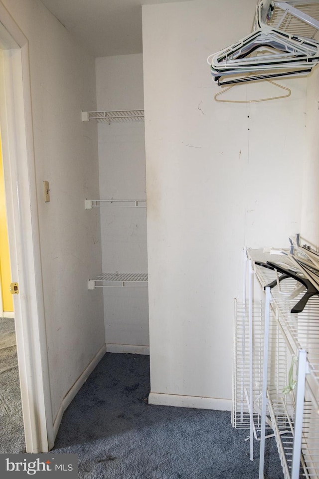 1158 Custer Dr, Auburn, PA 17922 - walk in closet featuring carpet flooring