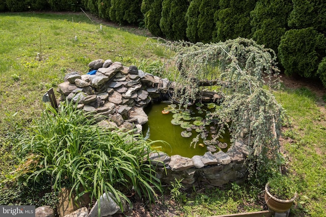 1158 Custer Dr, Auburn, PA 17922 - exterior view of a small pond