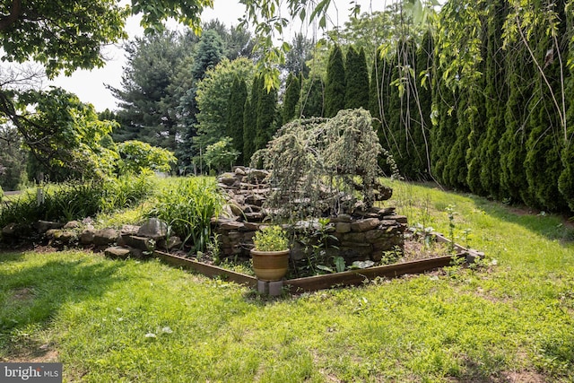 1158 Custer Dr, Auburn, PA 17922 - view of green lawn