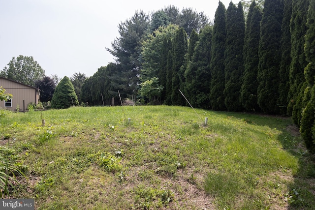 1158 Custer Dr, Auburn, PA 17922 - view of yard with a view of trees