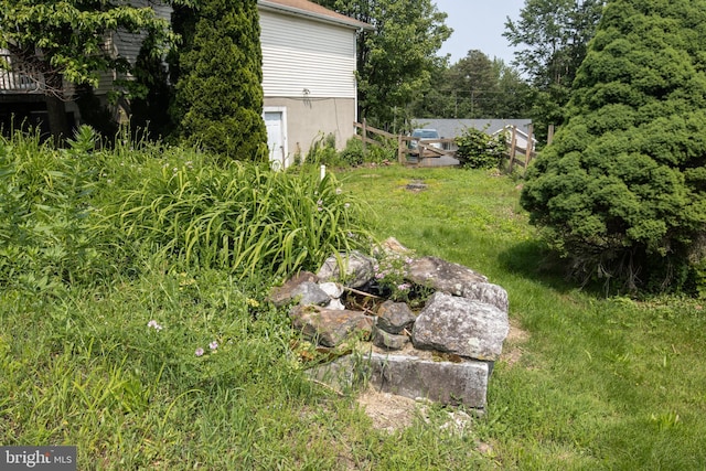 1158 Custer Dr, Auburn, PA 17922 - view of yard