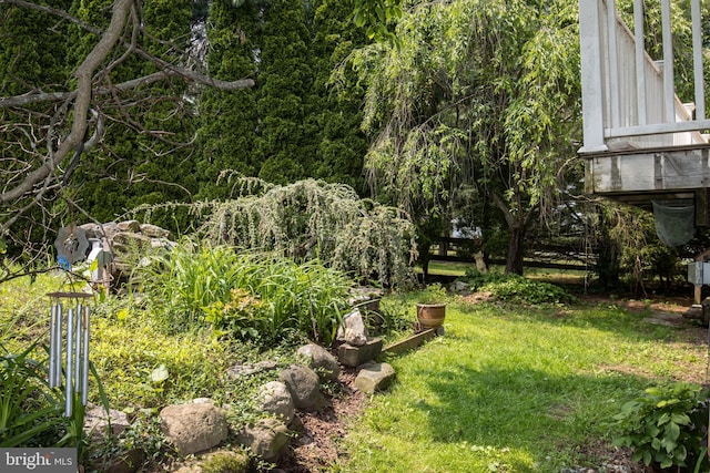 1158 Custer Dr, Auburn, PA 17922 - view of green lawn