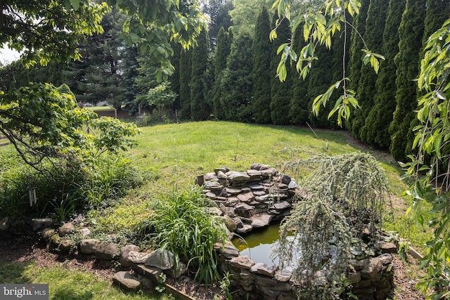 1158 Custer Dr, Auburn, PA 17922 - view of grassy yard with a small pond