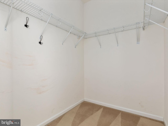 9411 Zebedee St, Manassas, VA 20110 - spacious closet with light carpet