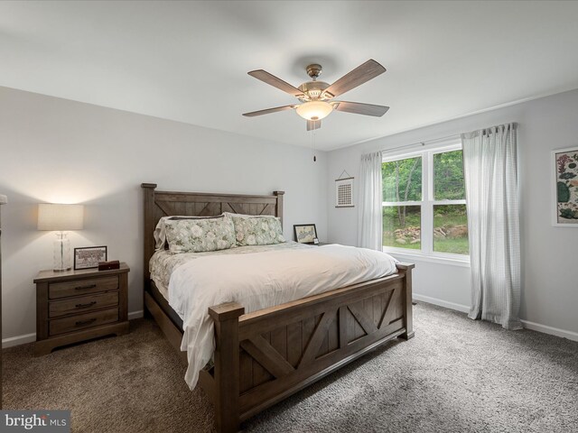 433 Tulip Poplar Dr, Linden, VA 22642 - carpeted bedroom featuring baseboards and a ceiling fan